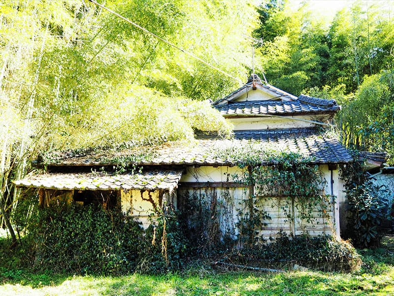 空き家・空地