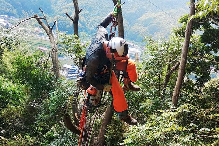 高度な技術力