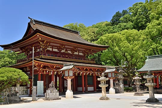 店舗まわり、工場の敷地、病院の敷地、神社、ゴルフ場などの伐採