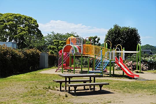 公園、河川の周辺などの伐採