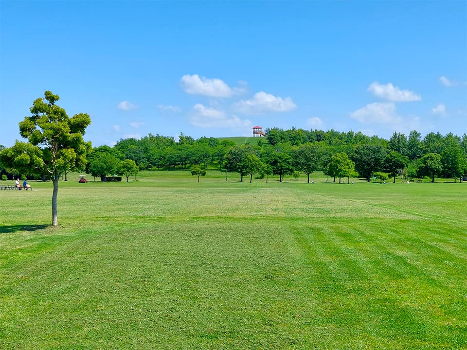 公園や緑地