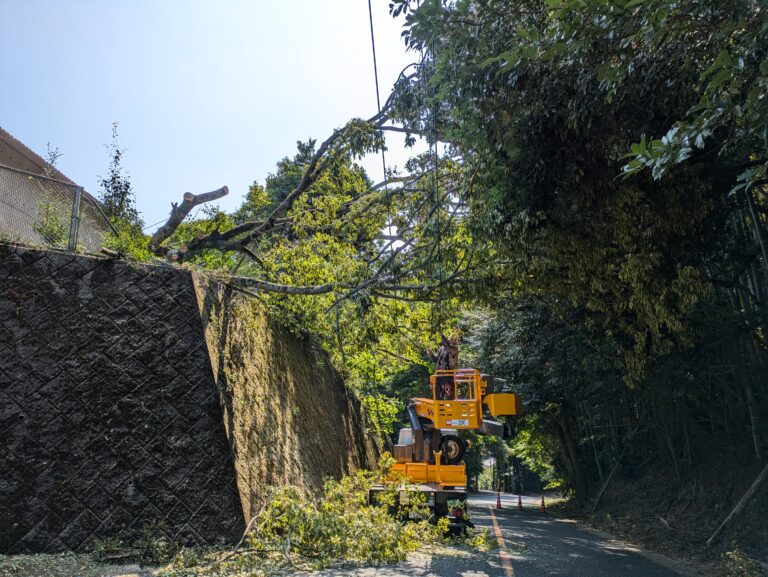 霊園 樹木撤去作業